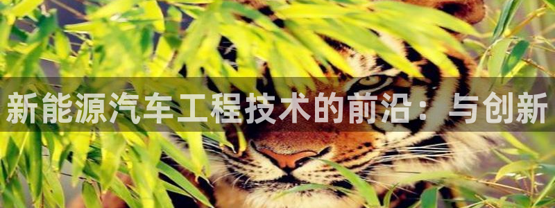 新浪新闻新宝gg