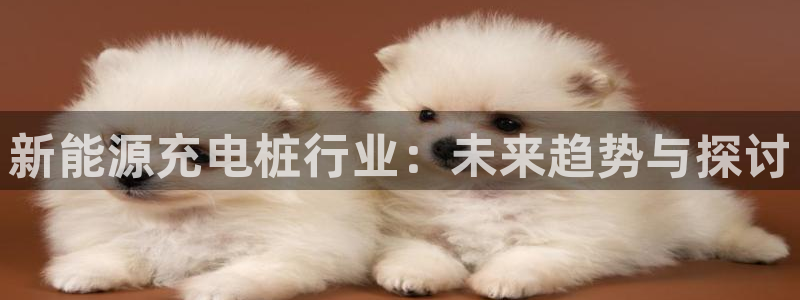 新宝gg高频彩票