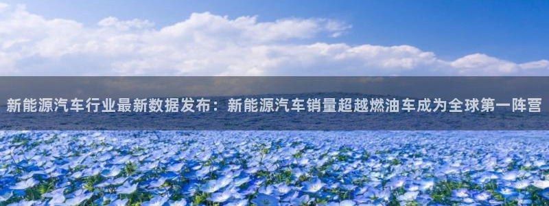 新宝gg挣钱