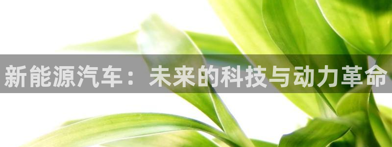 新宝娱gg