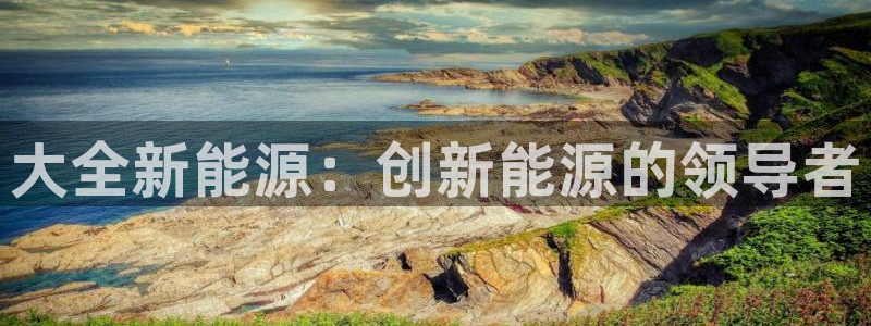 新宝gg注册q 26880：大全新能源：
