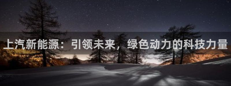新宝gg登录新：上汽新能源：引领未来，绿