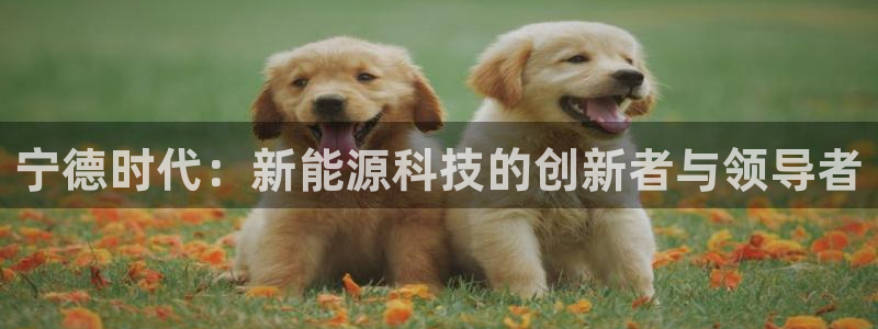 新宝GG都有哪些计划：宁德时代：新能源科