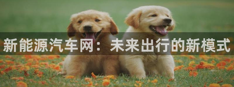 新宝gg登陆平台:新能源汽车网:未来出行的新模式