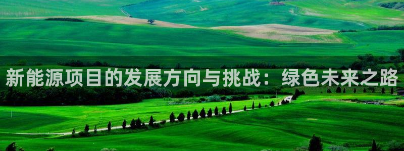 x新宝gg:新能源项目的发展方向与挑战:绿色未来之路