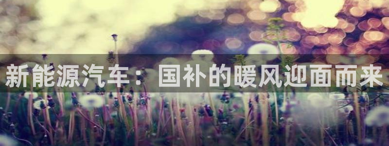 新宝时gg:新能源汽车:国补的暖风迎面而来