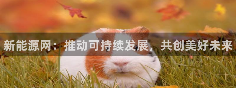 新宝gg注册登录:新能源网:推动可持续发展,共创美好未来