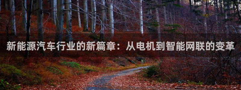 新宝gg注册q26880:新能源汽车行业的新篇章:从电机到智