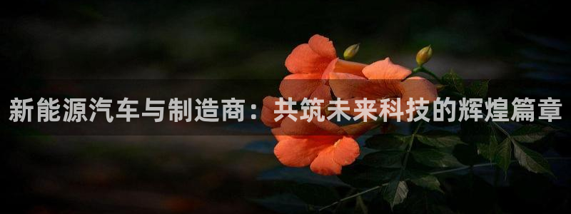 新宝gg娱乐主管q42873:新能源汽车与制造商:共筑未来科