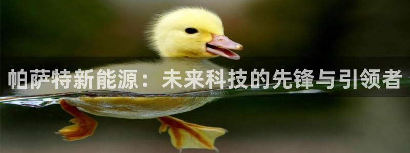 新宝gg—创造:帕萨特新能源:未来科技的先锋与引领者