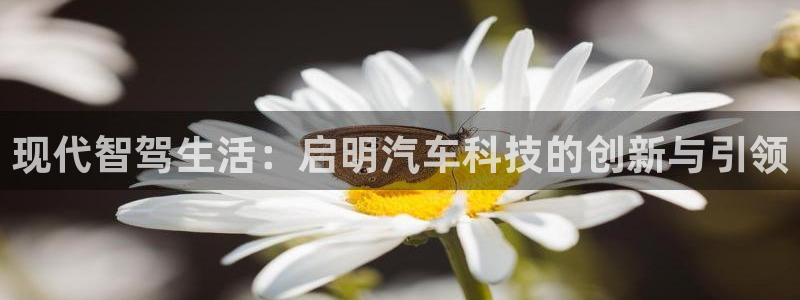 新宝GG股东:现代智驾生活:启明汽车科技的创新与引领