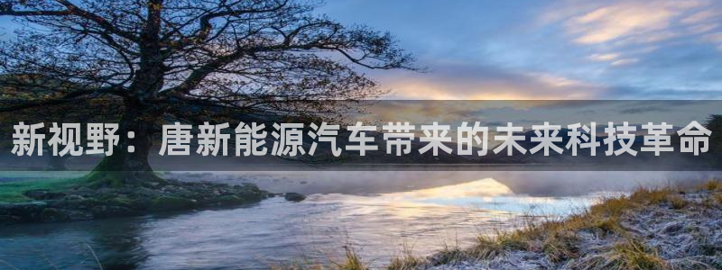 新宝gg打发:新视野:唐新能源汽车带来的未来科技革命