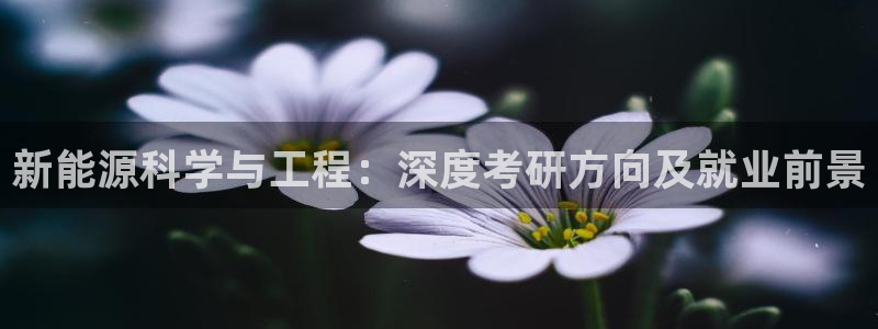 新浪新闻新宝gg:新能源科学与工程:深度考研方向及就业前景