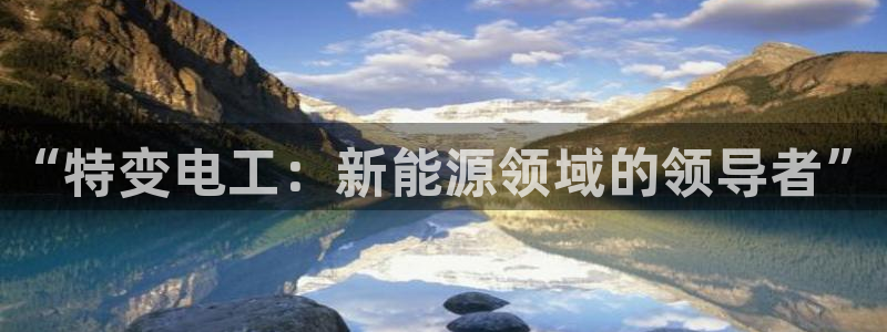 新宝GG傲78778:“特变电工:新能源领域的领导者”