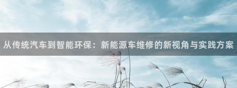 新宝gg玩法:从传统汽车到智能环保:新能源车维修的新视角与实