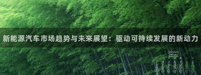 新宝gg(52360):新能源汽车市场趋势与未来展望:驱动可