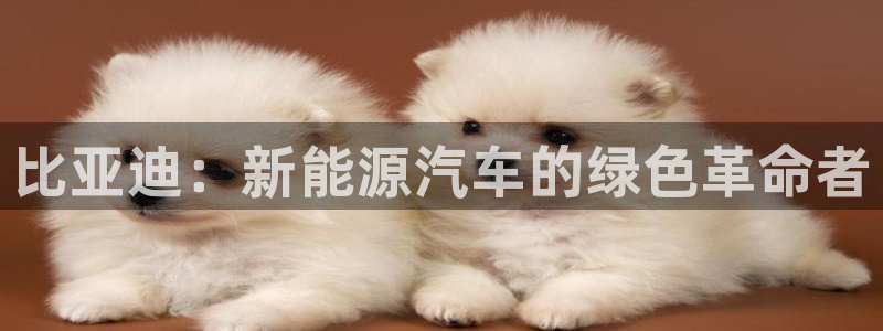 新宝gg主:比亚迪:新能源汽车的绿色革命者