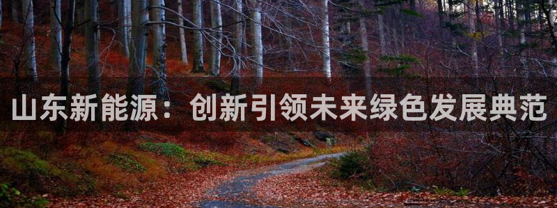 新宝gg平台开户:山东新能源:创新引领未来绿色发展典范