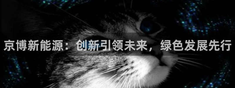 新宝娱乐gg:京博新能源:创新引领未来,绿色发展先行