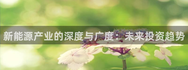 新宝gg咨询55312:新能源产业的深度与广度:未来投资趋势