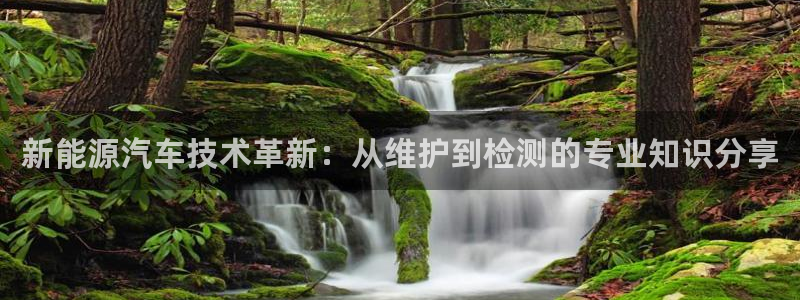 新宝GG娱乐-上皇巢网:新能源汽车技术革新:从维护到检测的专