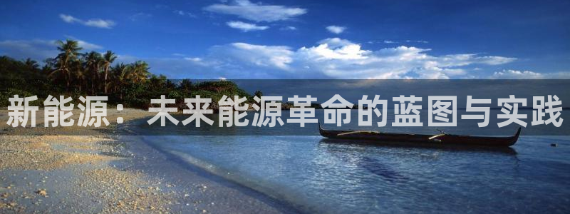 新宝gg有假吗:新能源:未来能源革命的蓝图与实践