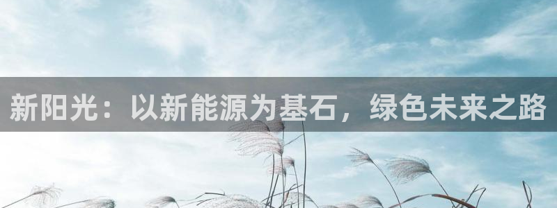 新宝gg在哪开户:新阳光:以新能源为基石,绿色未来之路