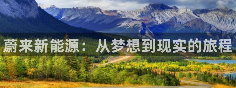 新宝gg测速:蔚来新能源:从梦想到现实的旅程
