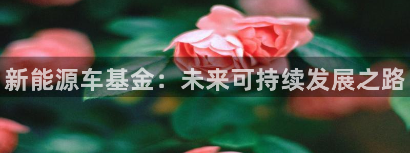 新宝gg欢迎:新能源车基金:未来可持续发展之路