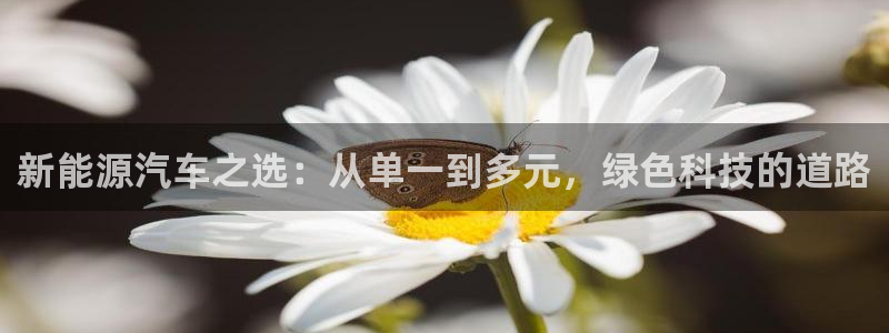 新宝gg总代理：新能源汽车之选：从单一到
