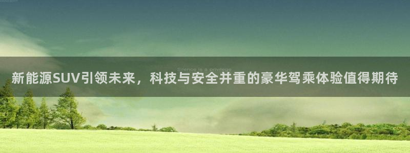 网站新宝GG：新能源SUV引领未来，科技