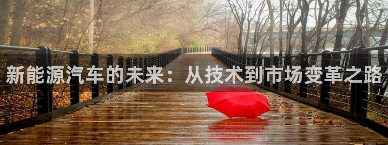 新宝gg注：新能源汽车的未来：从技术到市