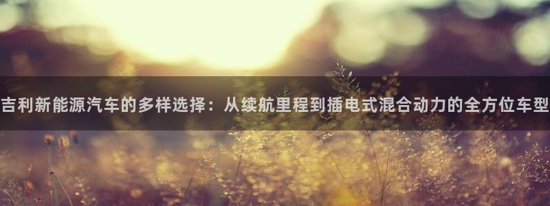 新宝gg 注册:吉利新能源汽车的多样选择:从续航里程到插电式