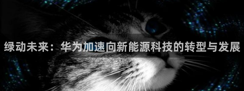 新宝gg挂机软件下载:绿动未来:华为加速向新能源科技的转型与
