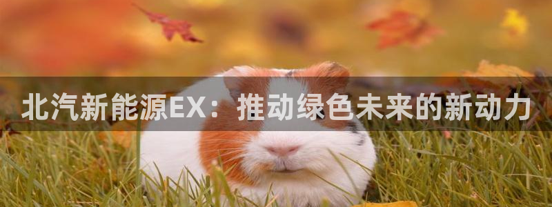 新宝gg有假吗:北汽新能源EX:推动绿色未来的新动力