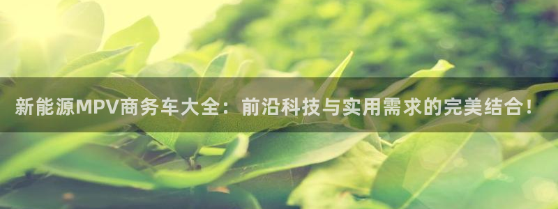 新宝GG登录③:新能源MPV商务车大全:前沿科技与实用需求的