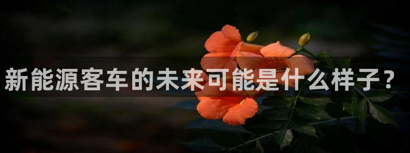 新宝gg一创造奇迹：新能源客车的未来可能
