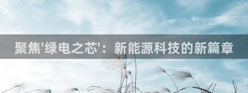 新宝gg 75505：聚焦\'绿电之芯\