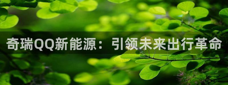 新宝 gg创造：奇瑞QQ新能源：引领未来