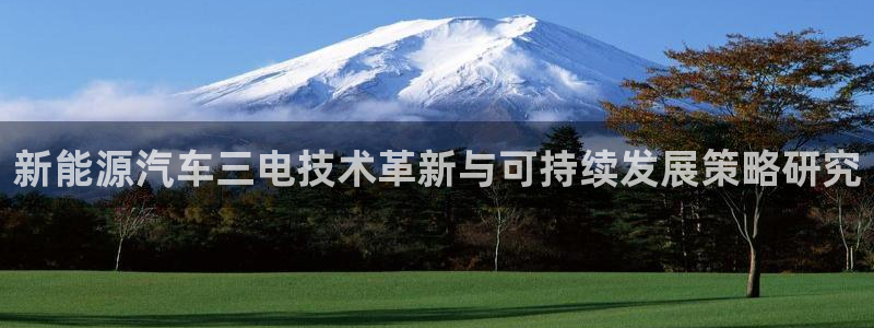 新宝gg主管都是谁：新能源汽车三电技术革