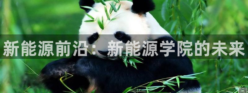 新宝.gg:新能源前沿:新能源学院的未来