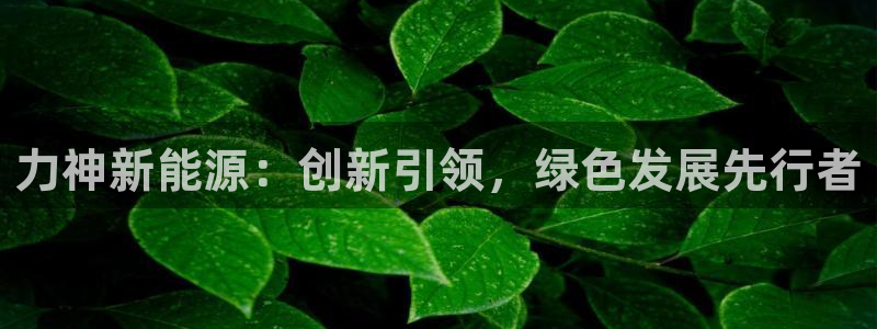 新宝时gg:力神新能源:创新引领,绿色发展先行者