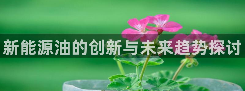 新宝gg娱乐平台:新能源油的创新与未来趋势探讨