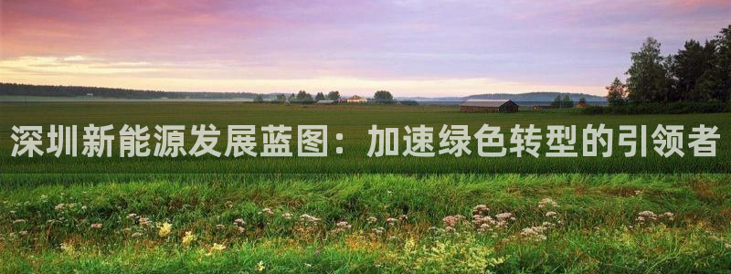 新宝GG官方域名