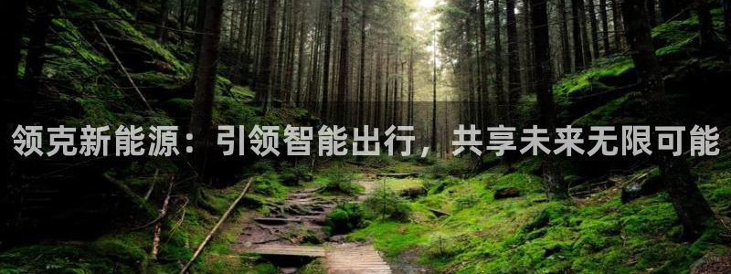 新宝GG用哪个网址登录:领克新能源:引领智能出行,共享未来无