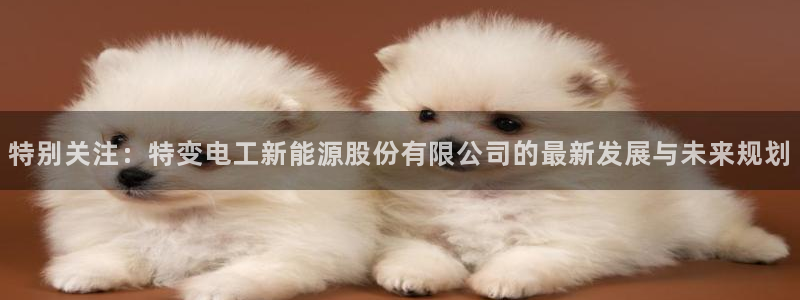 新宝gg怎么做代理