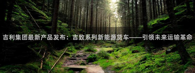 新宝gg 注册:吉利集团最新产品发布:吉致系列新能源货车——