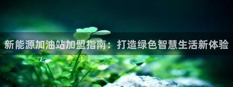 新宝gg手机注册官网:新能源加油站加盟指南:打造绿色智慧生活