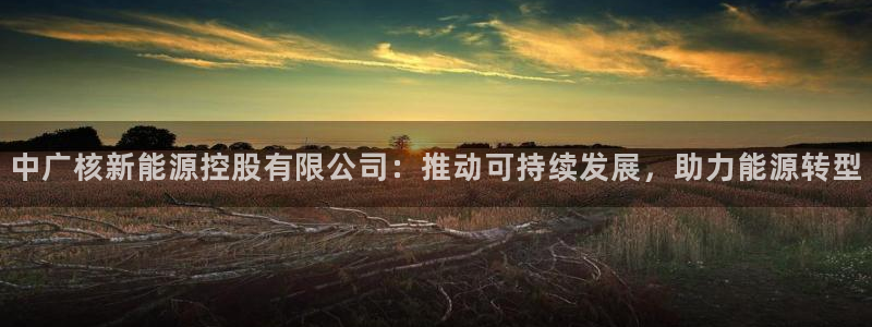新宝gg 注册:中广核新能源控股有限公司:推动可持续发展,助