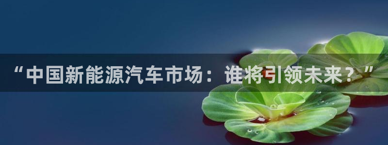 新宝gg挂机软件下载